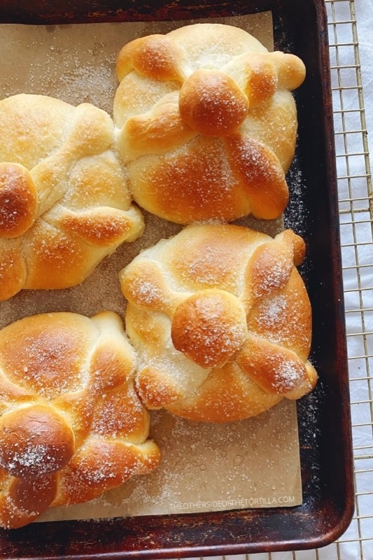 Marigold pan de muerto